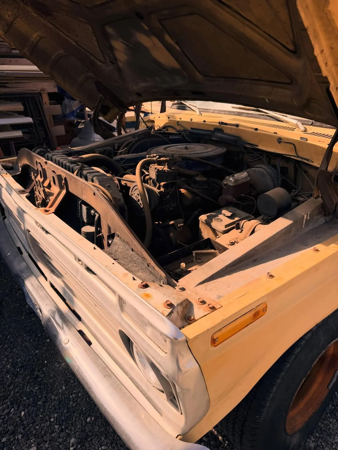 New project day! 🐝